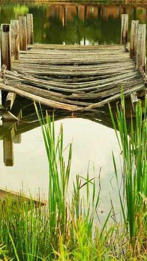 面瓜和鸡蛋能一起吃吗截图5